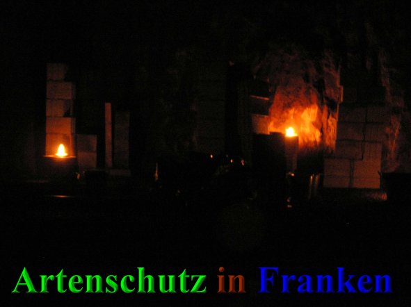 Bild zum Eintrag (41465-160)