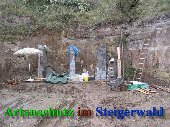 Bild zum Eintrag (41473-160)