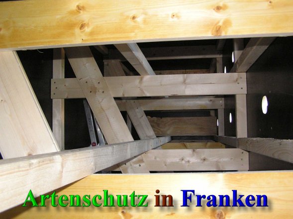 Bild zum Eintrag (41479-160)