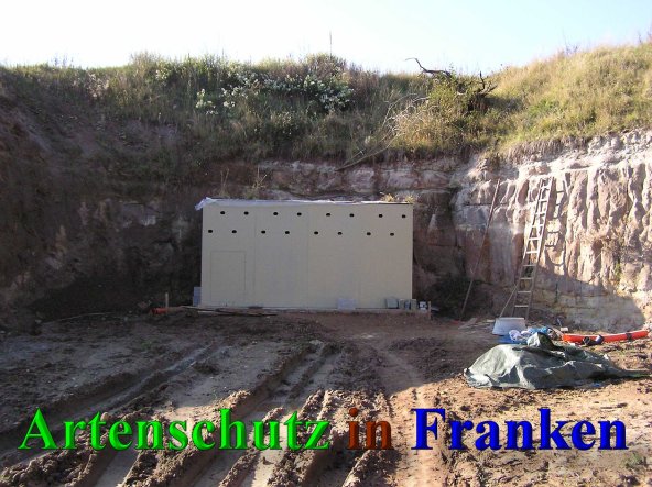 Bild zum Eintrag (41545-160)