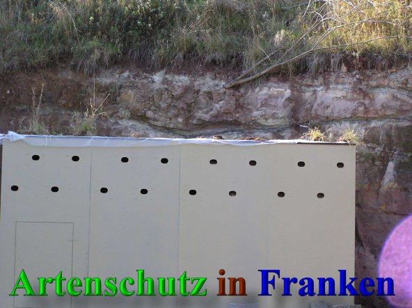 Bild zum Eintrag (41546-160)