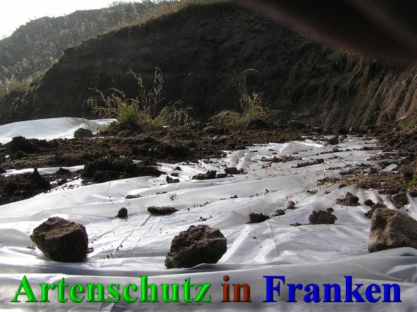 Bild zum Eintrag (41547-160)