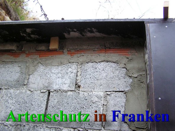 Bild zum Eintrag (41548-160)