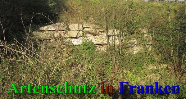 Bild zum Eintrag (41676-160)