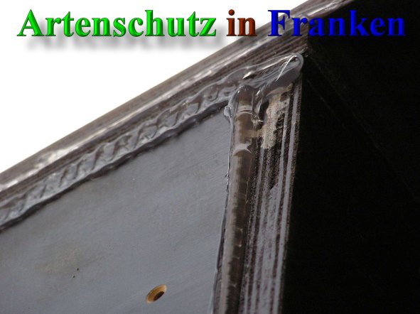 Bild zum Eintrag (41684-160)