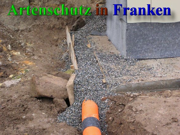 Bild zum Eintrag (41685-160)