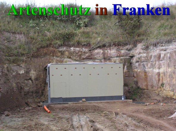 Bild zum Eintrag (41686-160)
