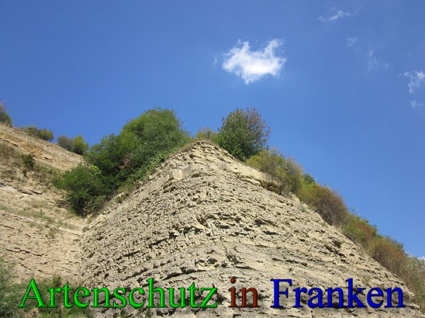 Copyright AiS Frederik Drenkhard Bild zum Eintrag (41721-160)