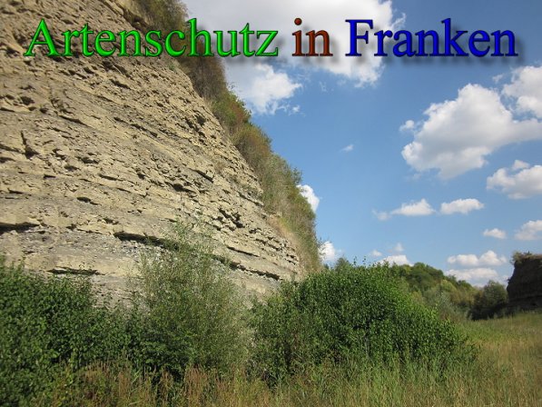 Copyright AiS Frederik Drenkhard Bild zum Eintrag (41722-160)
