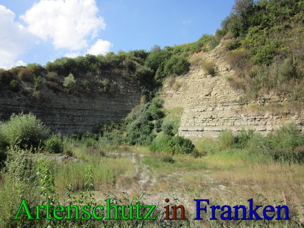 Copyright AiS Frederik Drenkhard Bild zum Eintrag (41723-160)
