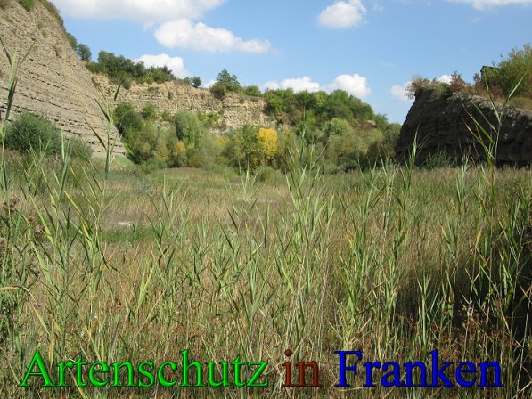 Copyright AiS Frederik Drenkhard Bild zum Eintrag (41724-160)