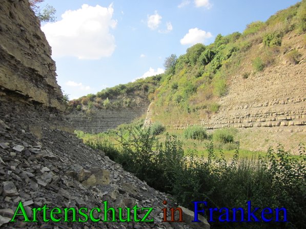 Copyright AiS Frederik Drenkhard Bild zum Eintrag (41730-160)