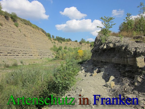 Copyright AiS Frederik Drenkhard Bild zum Eintrag (41732-160)