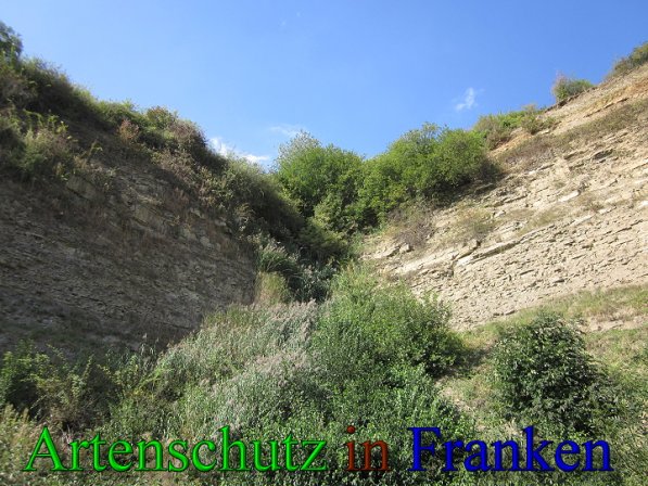 Copyright AiS Frederik Drenkhard Bild zum Eintrag (41733-160)