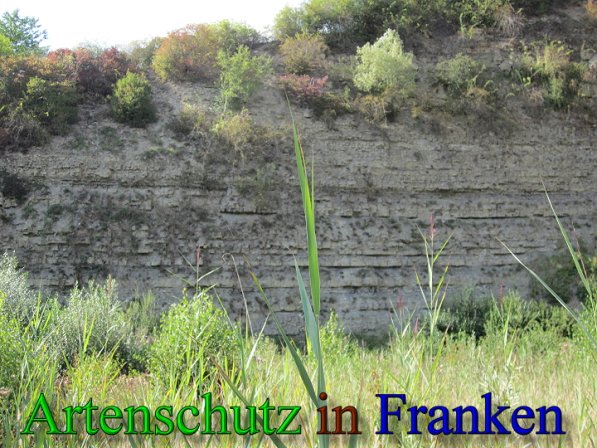 Copyright AiS Frederik Drenkhard Bild zum Eintrag (41735-160)