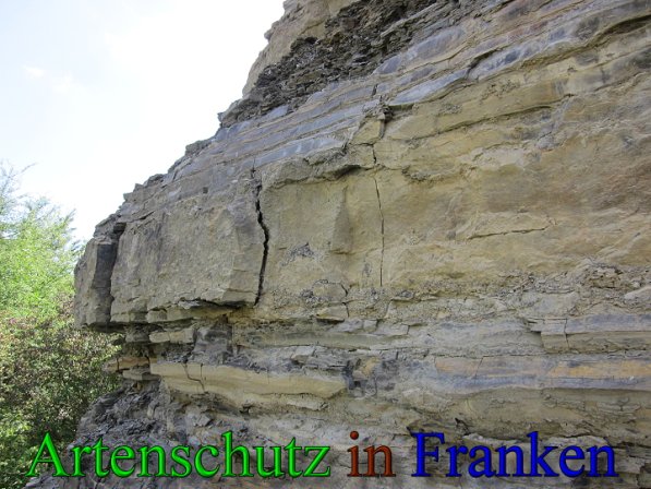 Copyright AiS Frederik Drenkhard Bild zum Eintrag (41736-160)