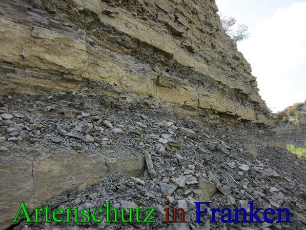 Copyright AiS Frederik Drenkhard Bild zum Eintrag (41737-160)