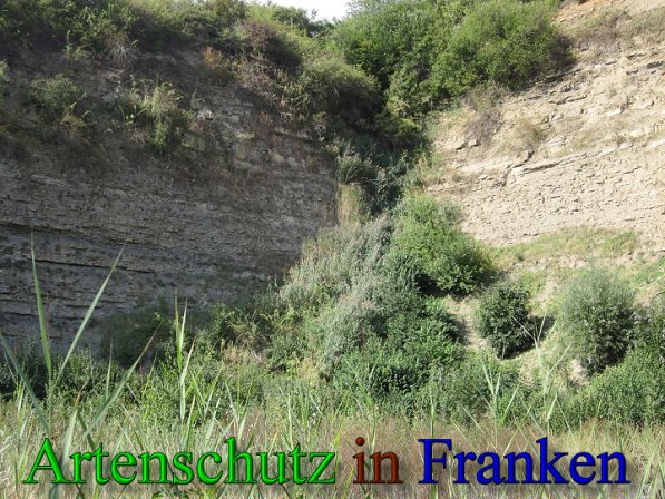 Copyright AiS Frederik Drenkhard Bild zum Eintrag (41738-160)