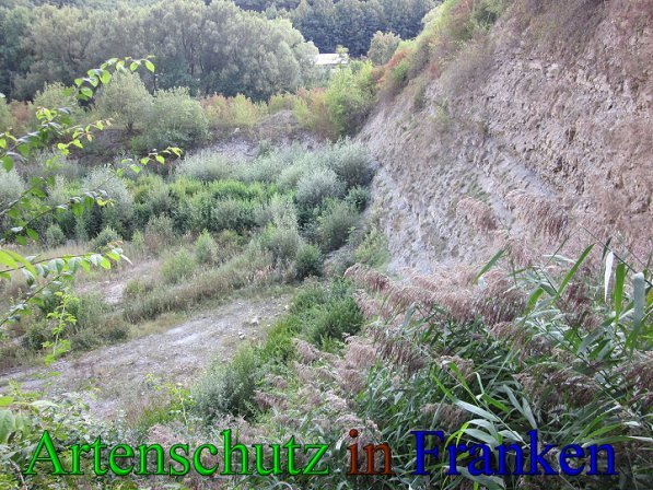 Copyright AiS Frederik Drenkhard Bild zum Eintrag (41741-160)