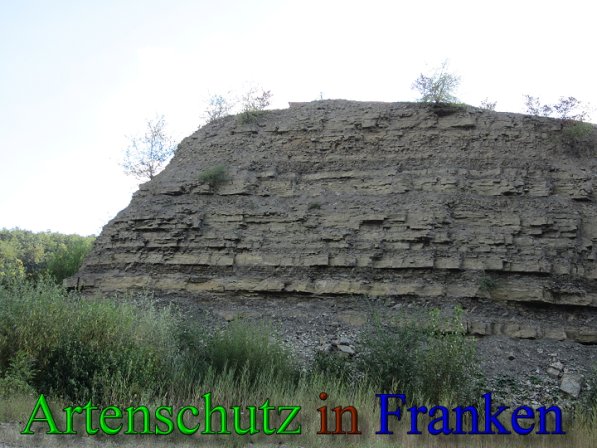 Copyright AiS Frederik Drenkhard Bild zum Eintrag (41742-160)