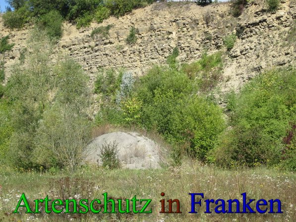 Copyright AiS Frederik Drenkhard Bild zum Eintrag (41748-160)