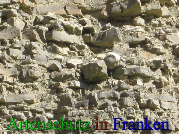 Copyright AiS Frederik Drenkhard Bild zum Eintrag (41749-160)