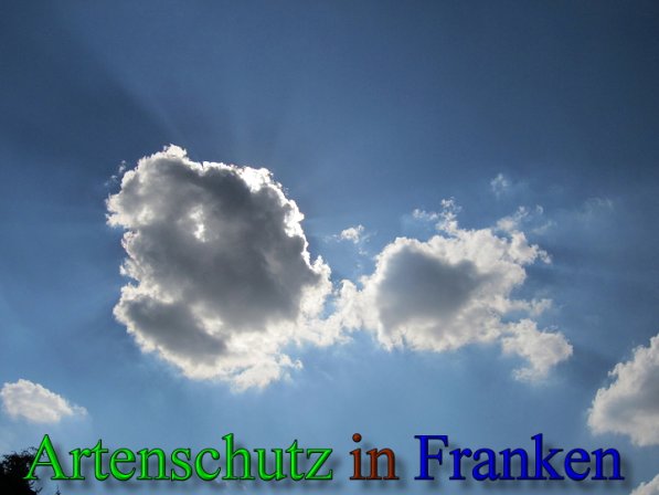 Copyright AiS Frederik Drenkhard Bild zum Eintrag (41752-160)