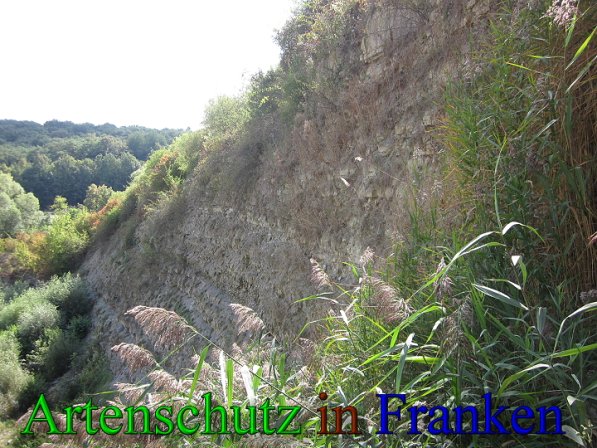 Copyright AiS Frederik Drenkhard Bild zum Eintrag (41758-160)