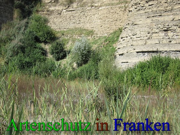 Copyright AiS Frederik Drenkhard Bild zum Eintrag (41759-160)