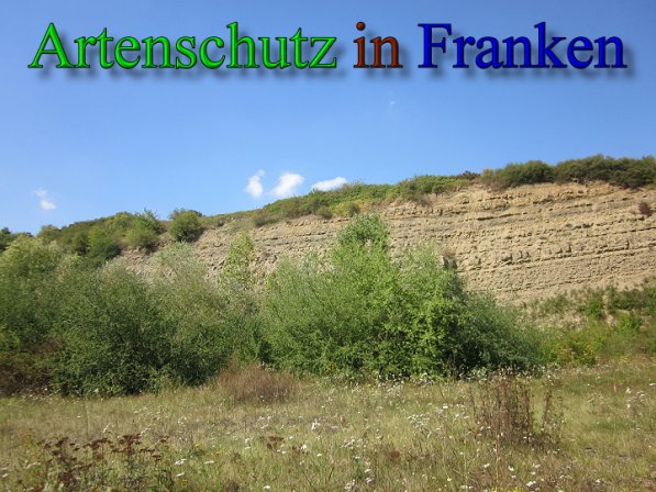 Copyright AiS Frederik Drenkhard Bild zum Eintrag (41760-160)