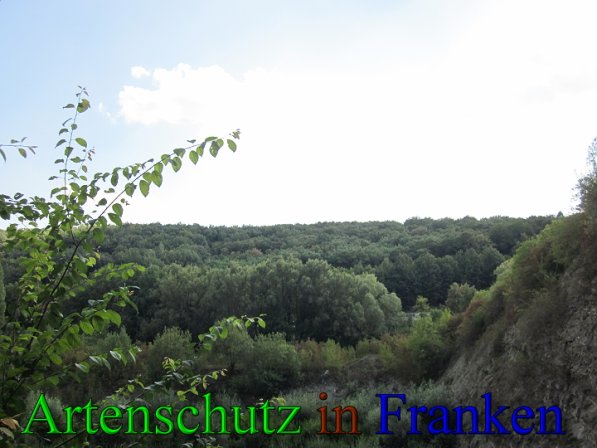 Copyright AiS Frederik Drenkhard Bild zum Eintrag (41762-160)