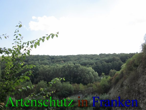 Bild zum Eintrag (41762-160)