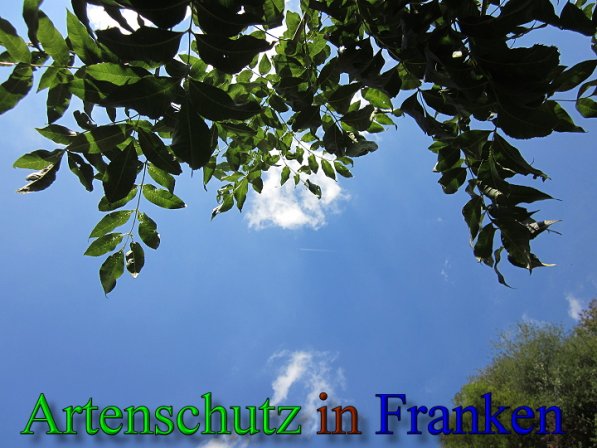 Copyright AiS Frederik Drenkhard Bild zum Eintrag (41763-160)