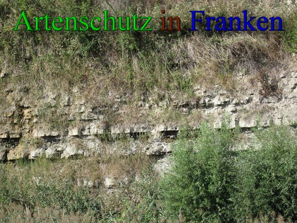 Copyright AiS Frederik Drenkhard Bild zum Eintrag (41765-160)