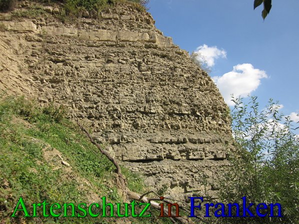 Copyright AiS Frederik Drenkhard Bild zum Eintrag (41766-160)