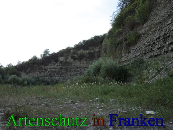 Copyright AiS Frederik Drenkhard Bild zum Eintrag (41768-160)