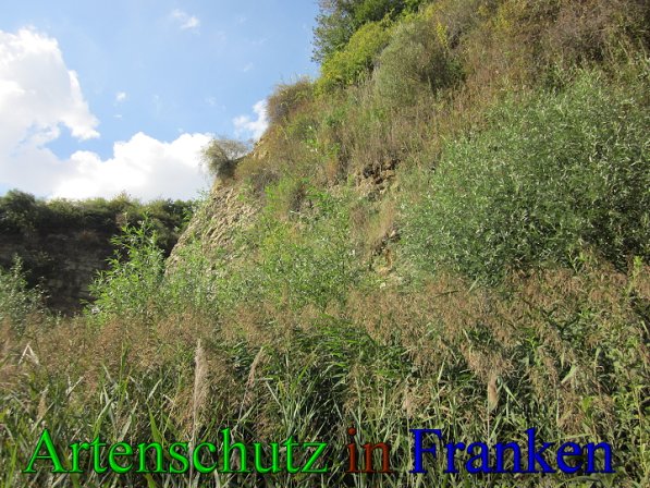 Copyright AiS Frederik Drenkhard Bild zum Eintrag (41771-160)
