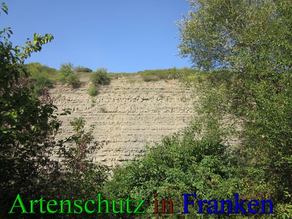 Copyright AiS Frederik Drenkhard Bild zum Eintrag (41773-160)