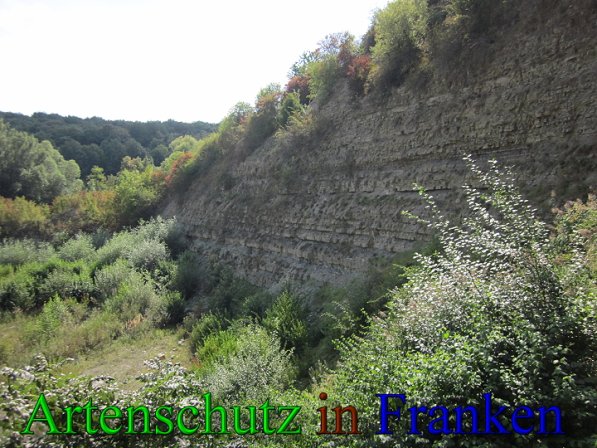 Copyright AiS Frederik Drenkhard Bild zum Eintrag (41774-160)