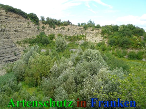 Copyright AiS Frederik Drenkhard Bild zum Eintrag (41794-160)