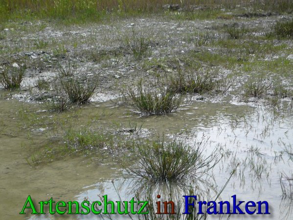 Copyright AiS Frederik Drenkhard Bild zum Eintrag (41796-160)