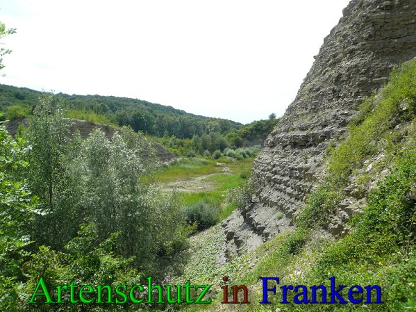 Copyright AiS Frederik Drenkhard Bild zum Eintrag (41800-160)