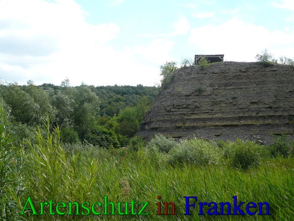 Copyright AiS Frederik Drenkhard Bild zum Eintrag (41802-160)