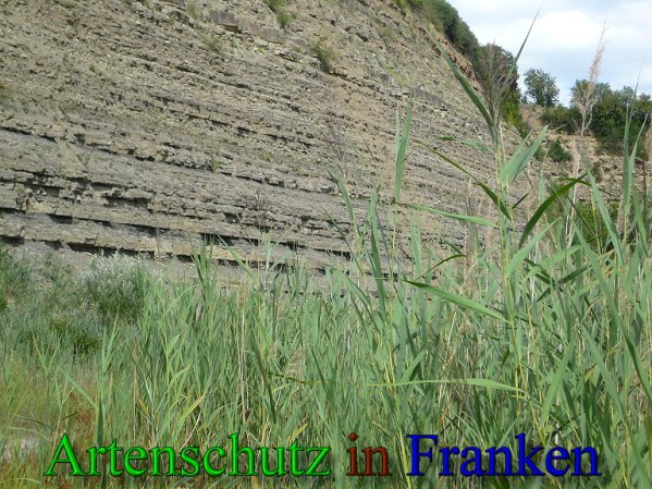Copyright AiS Frederik Drenkhard Bild zum Eintrag (41803-160)