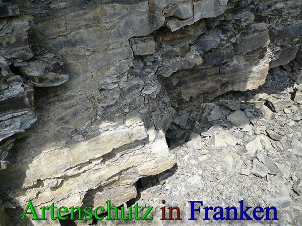 Copyright AiS Frederik Drenkhard Bild zum Eintrag (41805-160)