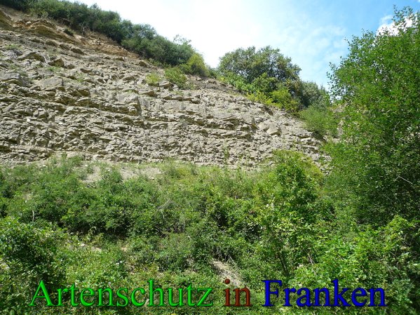 Copyright AiS Frederik Drenkhard Bild zum Eintrag (41809-160)