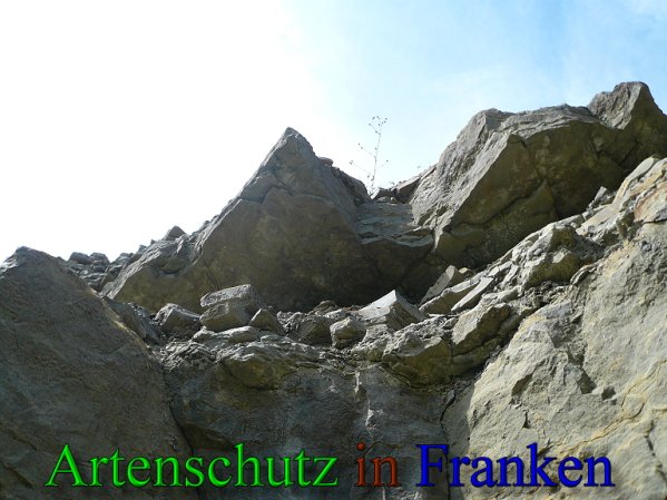 Copyright AiS Frederik Drenkhard Bild zum Eintrag (41810-160)