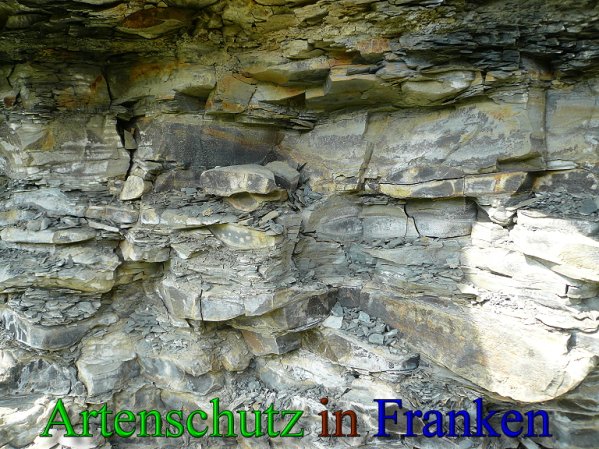 Copyright AiS Frederik Drenkhard Bild zum Eintrag (41811-160)