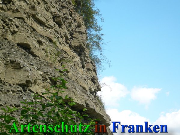 Copyright AiS Frederik Drenkhard Bild zum Eintrag (41812-160)