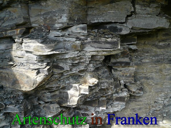 Copyright AiS Frederik Drenkhard Bild zum Eintrag (41816-160)